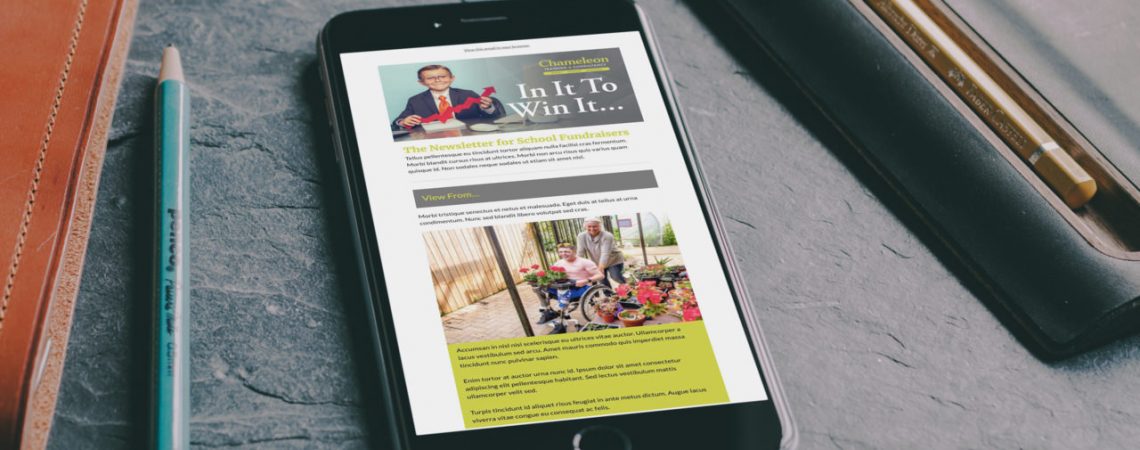 Chameleon Training's Email Newsletter